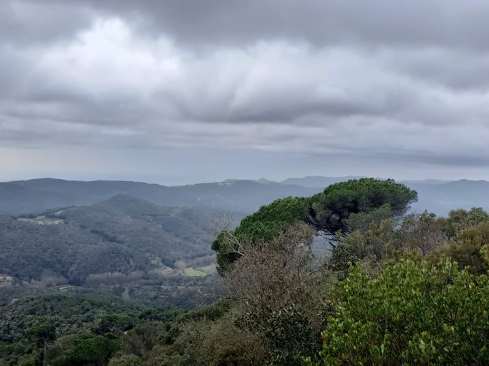 04615fd188fad33d7176037fcbafd9148991c656