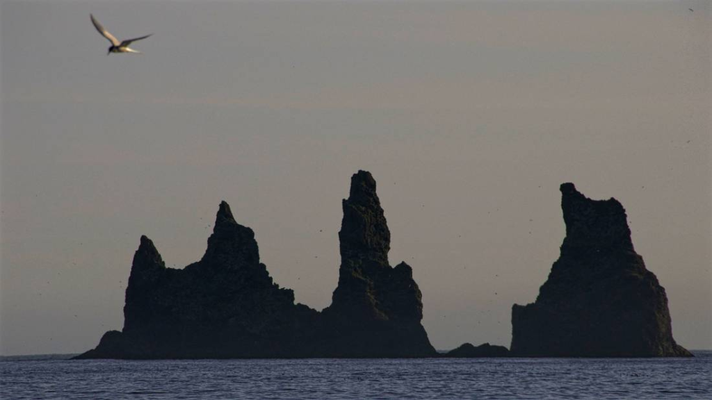 515036d04bbe2004c7739b0d5c055ae05c03b4a6